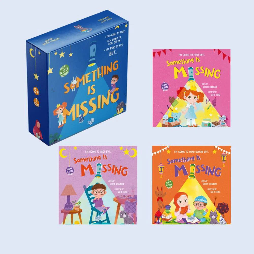 Something Is Missing – Light & Seek Board Book Set