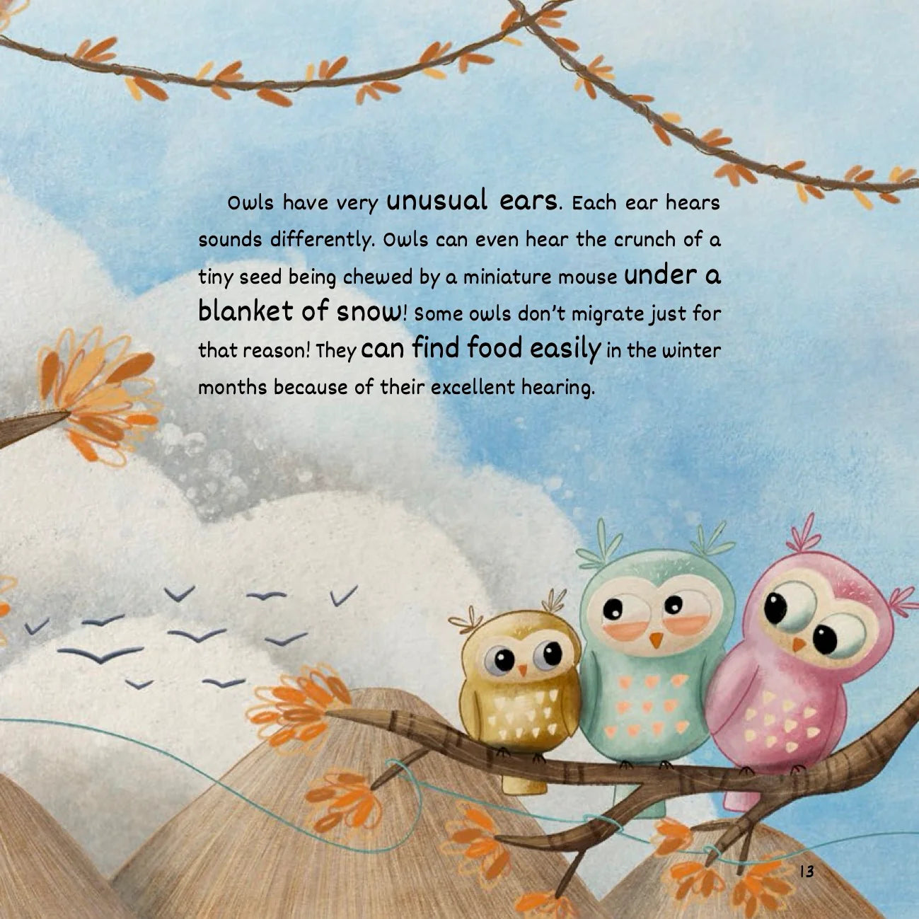 Who Hears The Best? | Islamic Children's Book